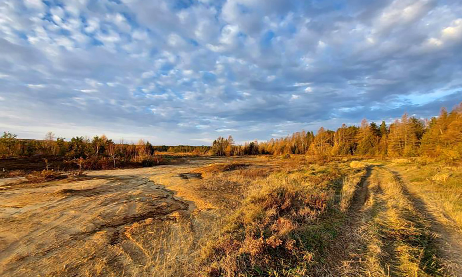 tailings_ontario